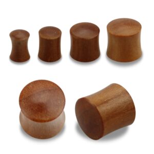 Piercing Plug Teak Holz im Piercing Center Aurich