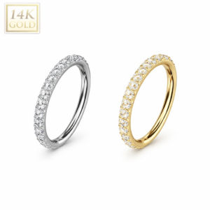 Piercing Segmentring „Feinste Kristalle“ im Piercing Center Aurich