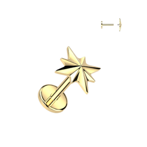 Piercing Ohrschmuck Royal im Piercing Center Aurich