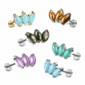 Piercing Ohrschmuck Naturwunder im Piercing Center Aurich