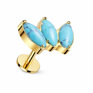 Piercing Ohrschmuck Naturwunder im Piercing Center Aurich