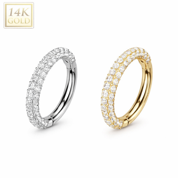 Piercing Segmentring Feminin Crystal im Piercing Center Aurich