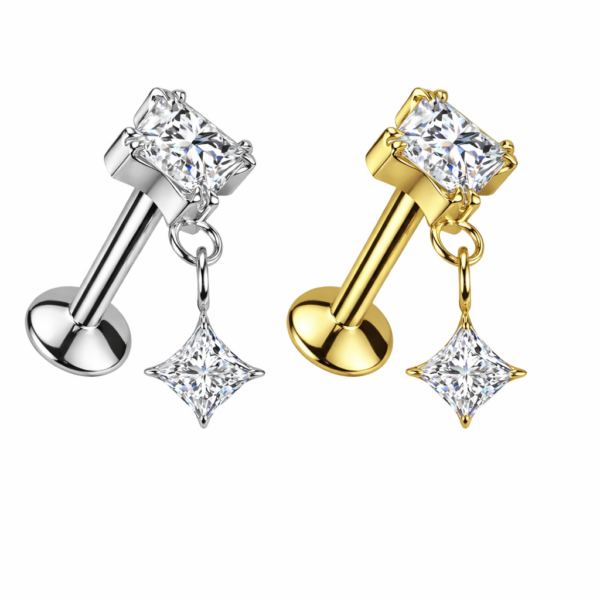 Piercing Segmentring Zenit im Piercing Center Aurich