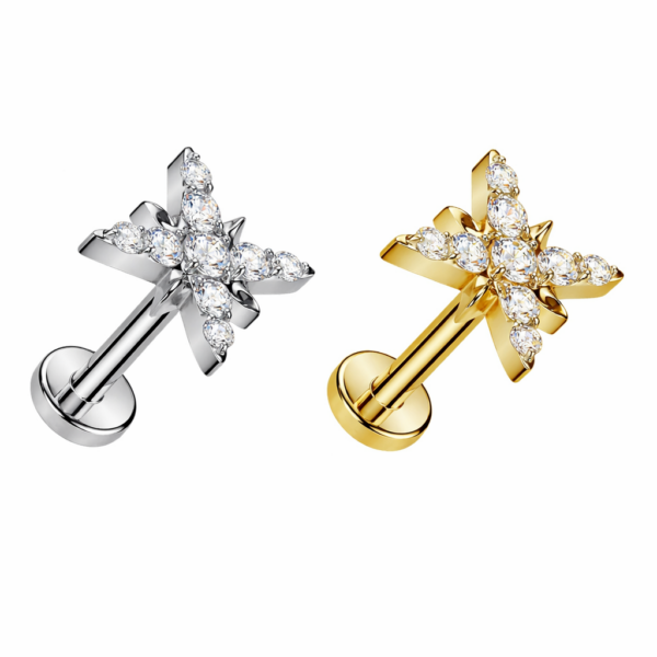 Piercing Segmentring City Light im Piercing Center Aurich