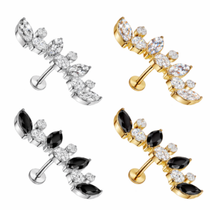 Piercing Segmentring Sternenstaub im Piercing Center Aurich