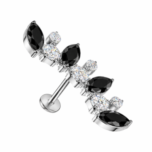Piercing Segmentring Sternenstaub im Piercing Center Aurich