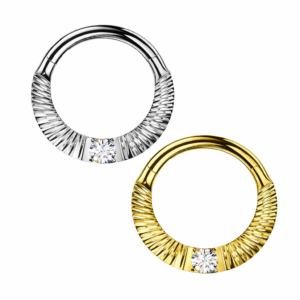 Piercing Segmentring Lichtfänger im Piercing Center Aurich