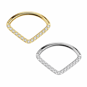 Piercing Segmentring Apex im Piercing Center Aurich