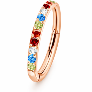 Piercing Segmentring Regenbogen im Piercing Center Aurich