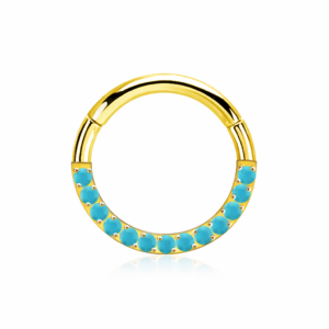 Piercing Segmentring New Style im Piercing Center Aurich