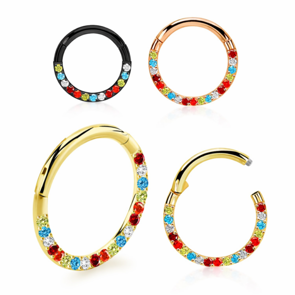 Piercing Segmentring Herzschlag im Piercing Center Aurich