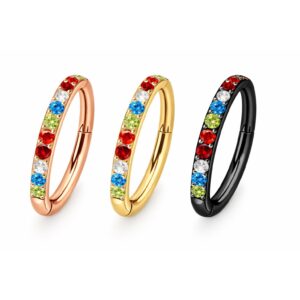 Piercing Segmentring Regenbogen im Piercing Center Aurich